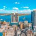 Over 1,200 Delegates to Convene in Tanzania for Africa Human Capital Heads of State Summit