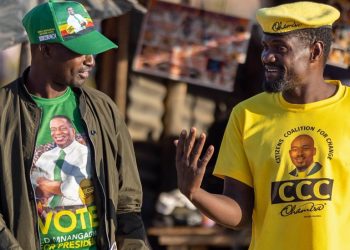 Polls open in Zimbabwe’s General Elections