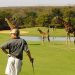 Check Out The Best Golf Resorts in Africa