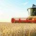 African Development Bank Grants $84.3M to Boost Ethiopia’s Wheat Production