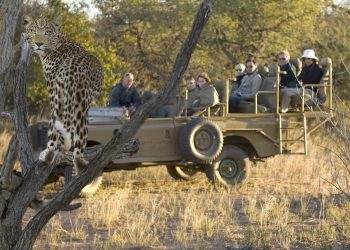 Namibia’s Tourism Bounces Back: Inbound Tourist Numbers Up by 98.1% in 2022