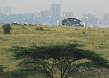 Zambia to Host Inaugural International Conference on Land Restoration