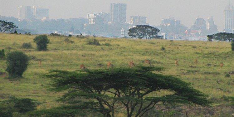Zambia to Host Inaugural International Conference on Land Restoration