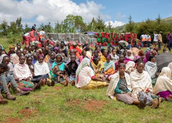 Over 4.38 Million Internally Displaced in Ethiopia Due to Conflict