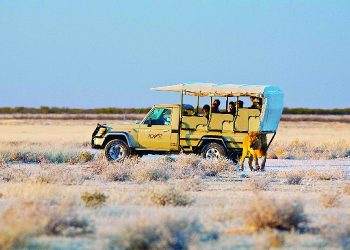 Namibia’s Bold Step: Cutting Accommodation Fees to Stimulate Local and SADC Tourism