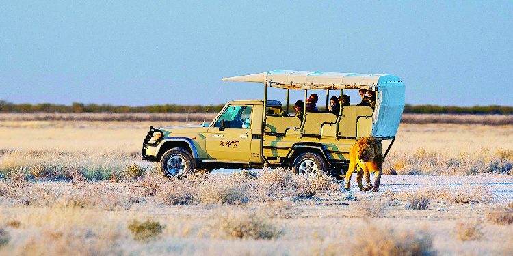 Namibia’s Bold Step: Cutting Accommodation Fees to Stimulate Local and SADC Tourism