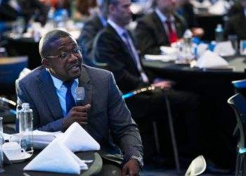 Zimbabwe Introduces Carbon Credit Regulations