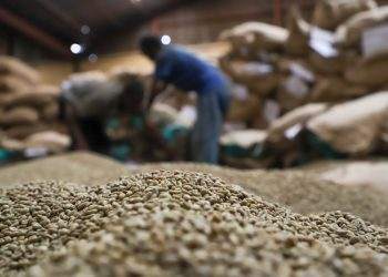 African Coffee-Producing Nations Unite to Elevate Global Value Share