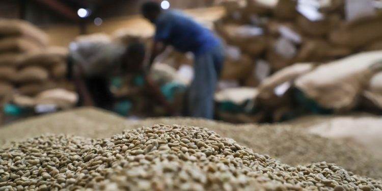 African Coffee-Producing Nations Unite to Elevate Global Value Share