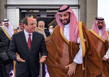Egyptian and Saudi Foreign Ministers Call for Arab Unity and Joint Action on Regional Crises
