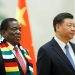 Zimbabwe and China Witness Growth in Bilateral Trade