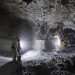 De Beers in Talks to Prevent Strike at South Africa’s Largest Diamond Mine Amid Wage Dispute