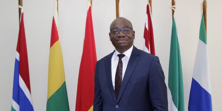 ECOWAS Officials Emphasise Collaborative Efforts to Launch Common Currency