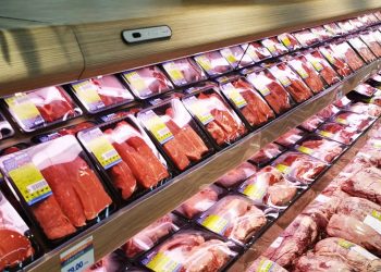South Africa resumes beef exports to China – How can South Africa become a more competitive and major beef supplier to China?