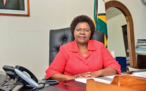 Zimbabwe Unveils Industrial Development Policy to Advance Economic Goals by 2030