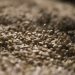 Ethiopian Coffee’s Percolating Success: Brewing a Rich Partnership with China