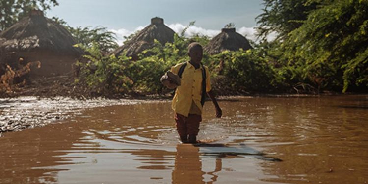 International Organisation for Migration Urges Action on Climate Migration at Africa Climate Summit