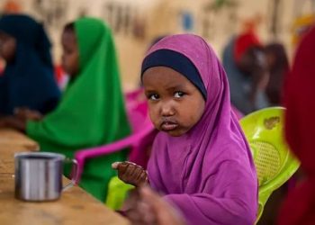 Climate-Induced Disasters Displace 1.85 Million Children in Sub-Saharan Africa