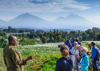 Rwanda’s Nature-Based Eco-Tourism Fuels Remarkable Tourism Recovery