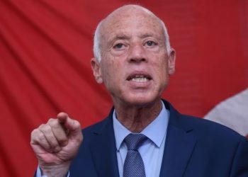Tunisian President Kais Saied Removes Economy Minister, Fuels Political Speculation