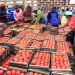 SMEs in Zimbabwe Grapple with Funding Shortages and Digital Divide