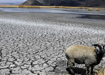 Readying the multilateral development banks for the climate fight