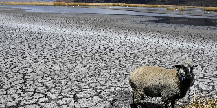 Readying the multilateral development banks for the climate fight