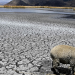 Readying the multilateral development banks for the climate fight