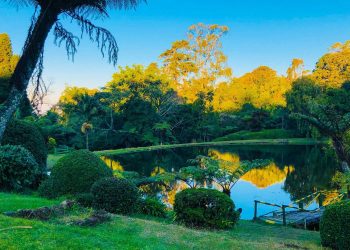 Zimbabwe’s Save River Unearthed – Four Gems Await Your Discovery
