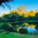 Zimbabwe’s Save River Unearthed – Four Gems Await Your Discovery