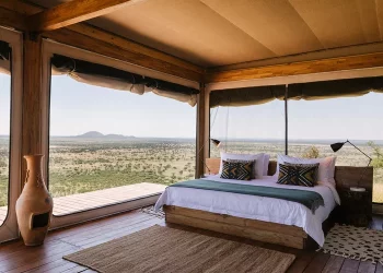 Namibia’s  Coastal and Northern Regions Soar as Leisure Travel Dominates