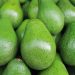 Zimbabwe’s Horticulture Ambitions: A Billion-Dollar Vision by 2030