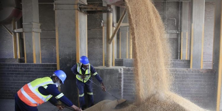 Zimbabwe Implements Import Caps on Fertilizer and Cement Amid Supply Shortages