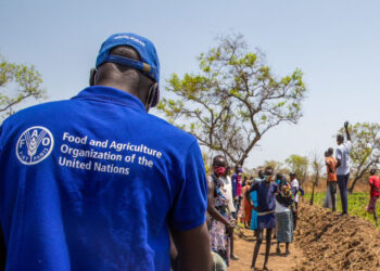 FAO Develops Tool to Address Climate Change and Conflict Impacts in Sub-Saharan Africa