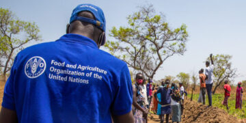 FAO Develops Tool to Address Climate Change and Conflict Impacts in Sub-Saharan Africa