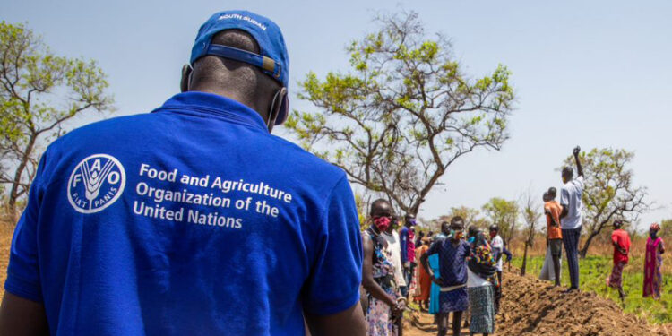 FAO Develops Tool to Address Climate Change and Conflict Impacts in Sub-Saharan Africa
