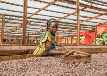 Ghana Raises Cocoa Prices Amid Industry Challenges