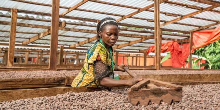 Ghana Raises Cocoa Prices Amid Industry Challenges