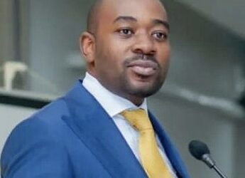 Nelson Chamisa Appeals to SADC Leaders