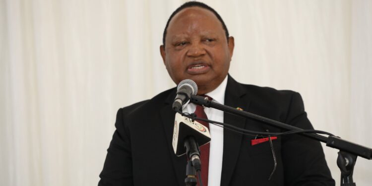 UPDATED: Zimbabwe Diaspora’s US$1.8 Billion Contribution Spotlighted at Investment Conference