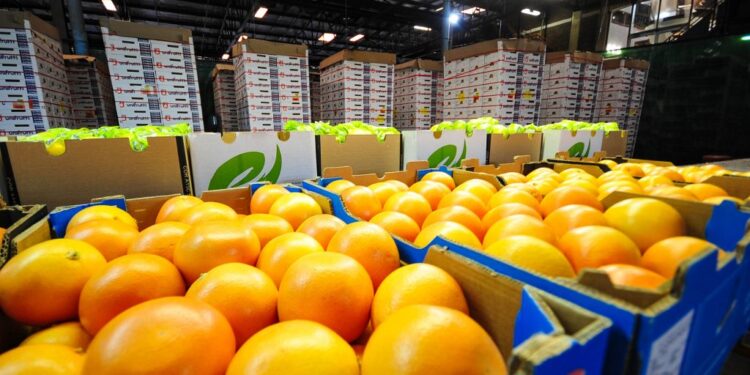 South Africa Challenges EU Citrus Regulations at WTO