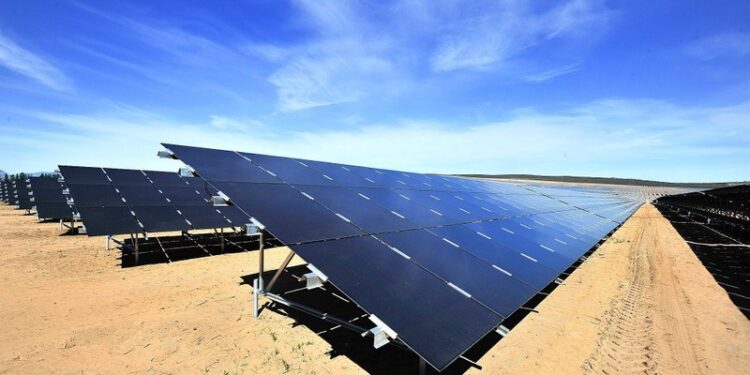 Business 101: What SMEs need to participate in the green economy