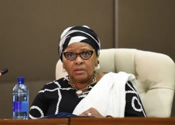 South African National Assembly Speaker Resigns Amid Bribery Allegations