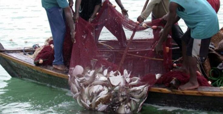 Illegal Fishing Causes Significant Losses for Tanzania’s Fisheries Sector