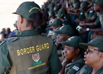 South African Border Authority on High Alert Ahead of General Elections