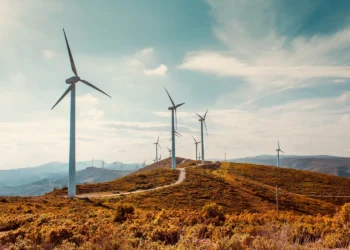 Advancing Climate Mitigation Finance: A Unified Approach by MDBs and IDFC