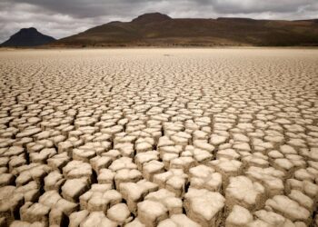 Africa Faces Climate Adaptation Funding Crisis