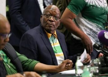Former South African President Zuma Criticises Coalition Government