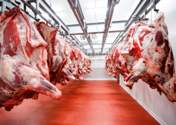 Tanzania’s Meat Exports Surge, Bolstered by Government Reforms