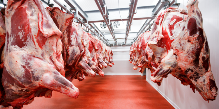 Tanzania’s Meat Exports Surge, Bolstered by Government Reforms